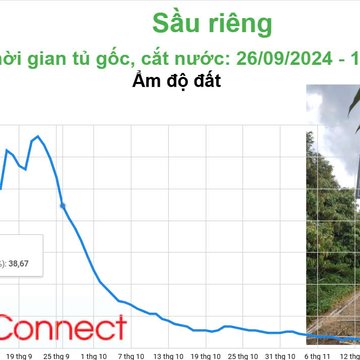 Cắt nước