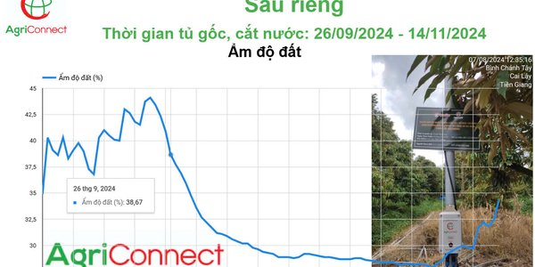 Cắt nước