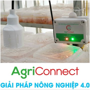 Nấm